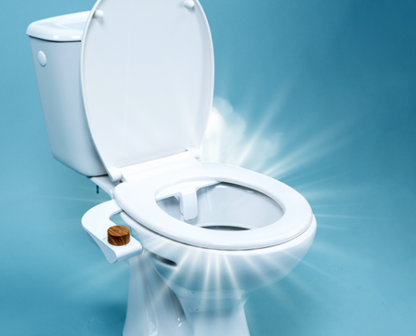 Système de nettoyage des toilettes à usage unique